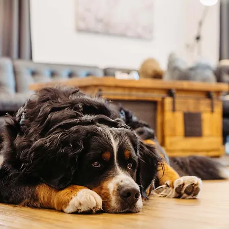 Διαμέρισμα Silberleithen Estate Biberwier