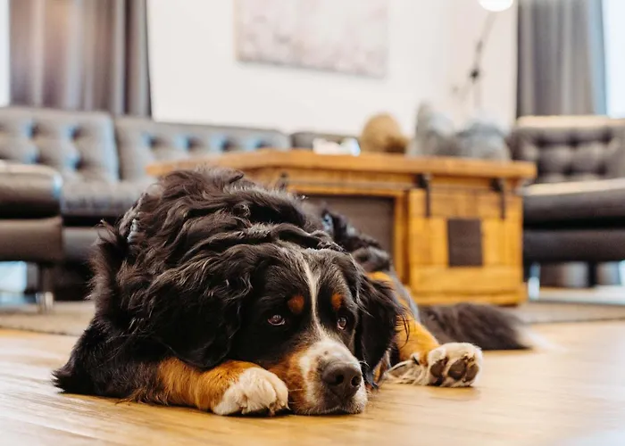 Διαμέρισμα Silberleithen Estate Biberwier